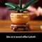 LEGO Botanicals Mini Orchid Building Set - Artificial, Fake Orchid for Home Decor, Adults Ages 18+ - Gift for Graduation- Indoor Plant Decorations for Table, Desk, Office - 10343